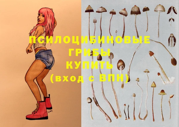 кристаллы Алексин